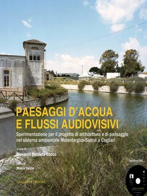 cover image of Paesaggi d'acqua e flussi audiovisivi